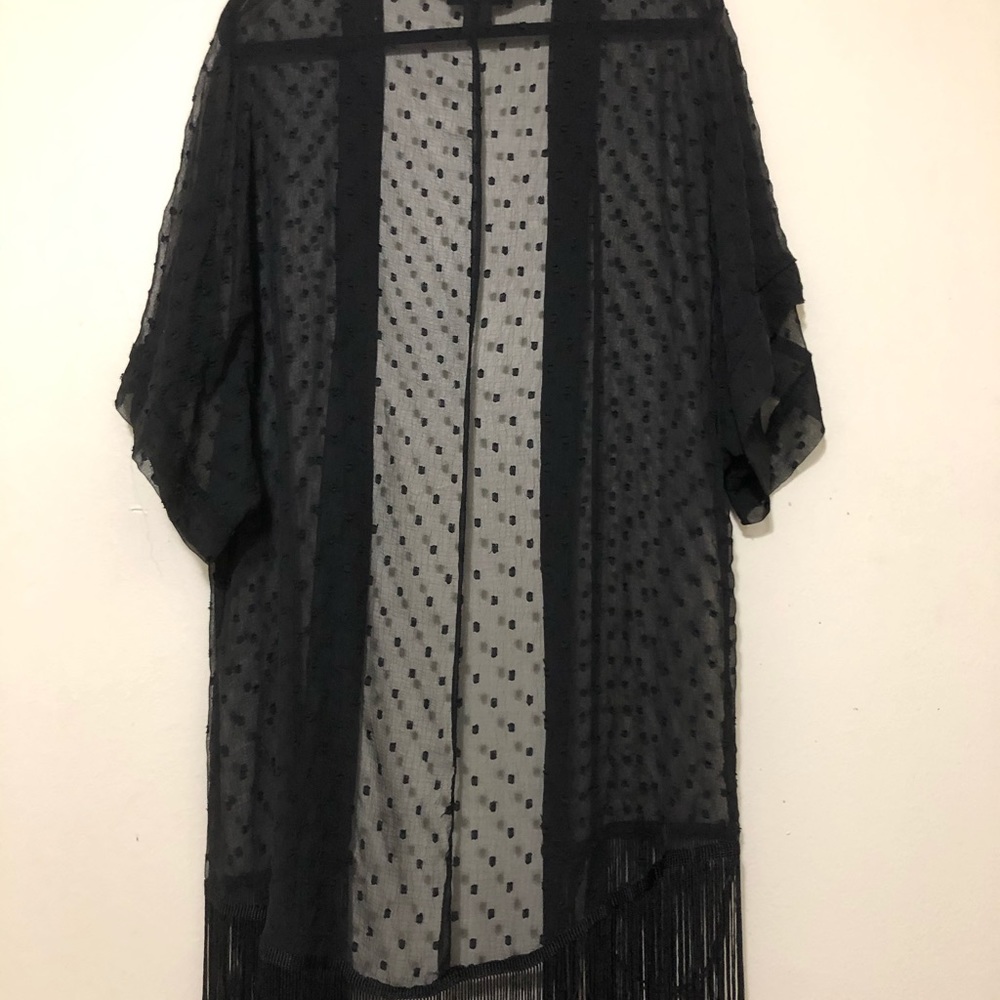 Sheer Jacket - Picture 3 of 3